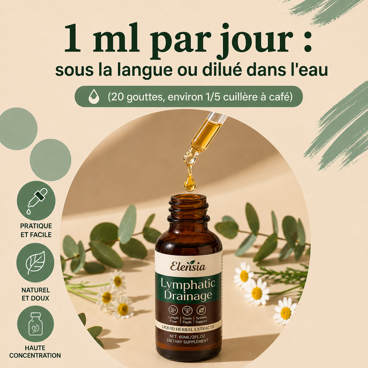 DRAINANT LYMPHATIQUE