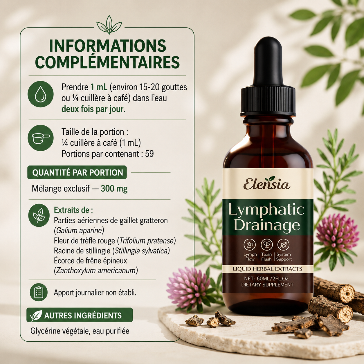 DRAINANT LYMPHATIQUE